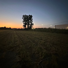 Professional-Commercial-Bush-Hogging-in-Clarksdale-MS 5